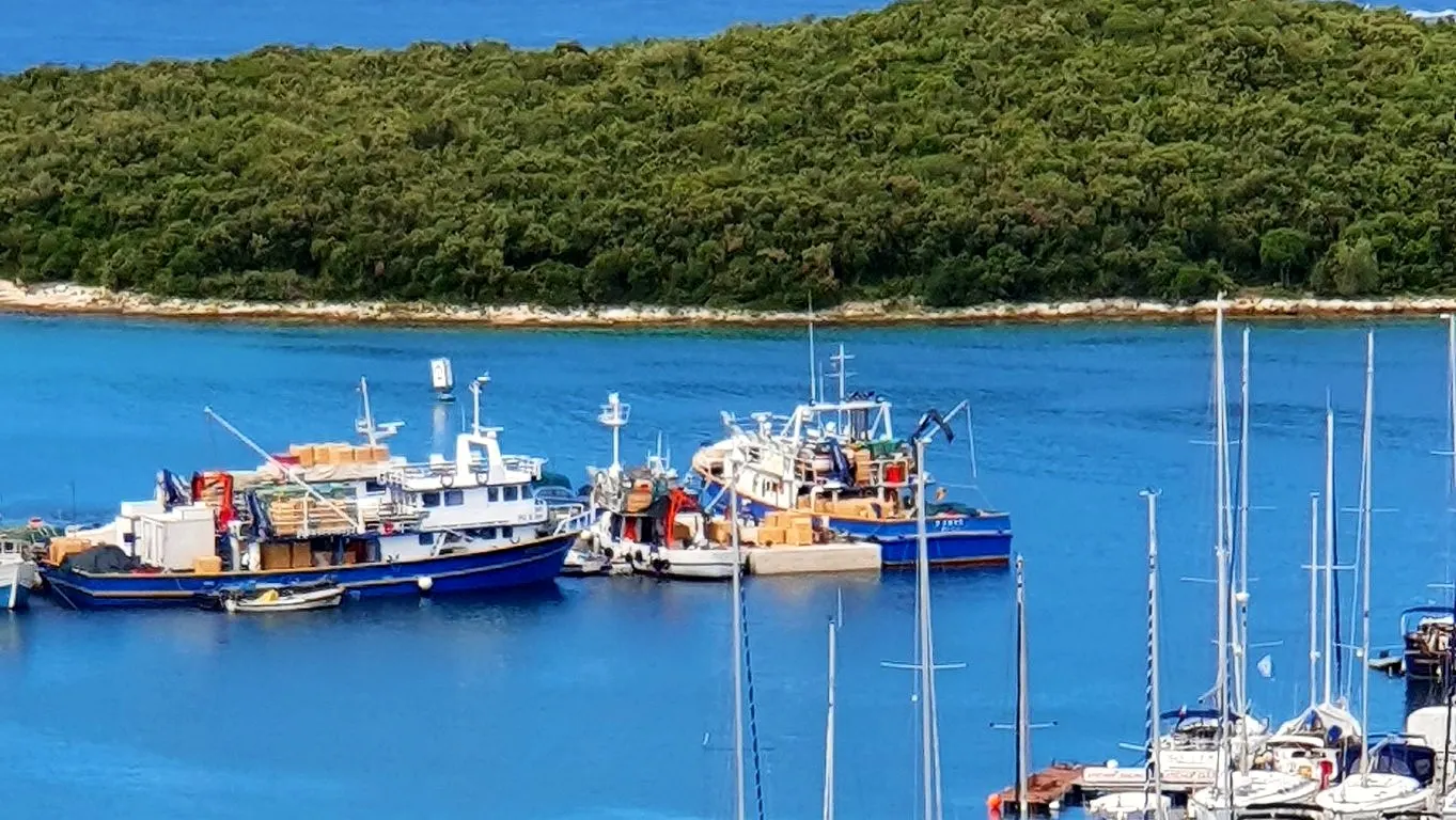 Fischerboote im Hafen von Vrsar