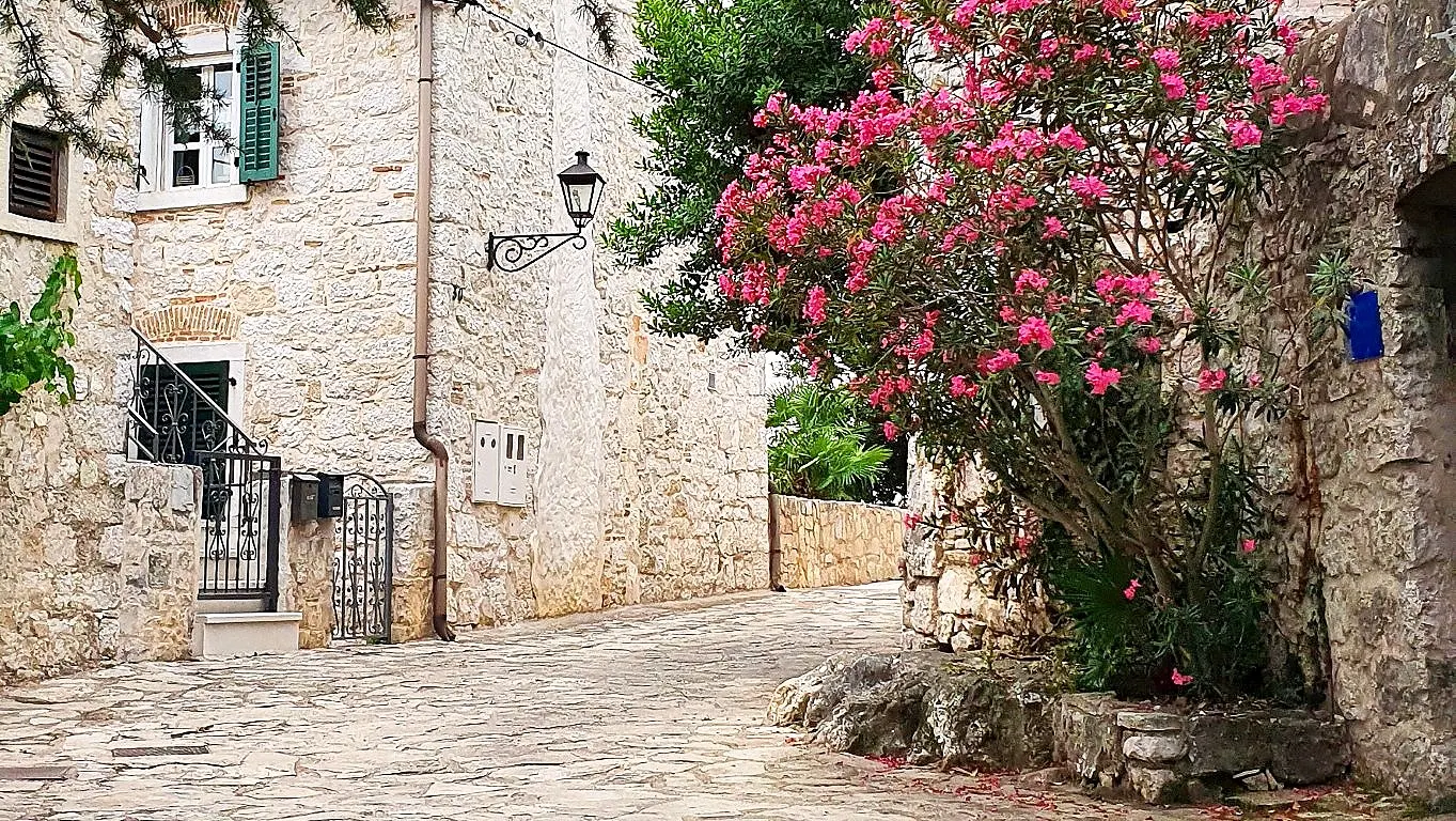 Steingasse der Altstadt mit blühendem Oleander